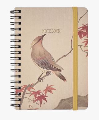 Bird muistikirja moniväri