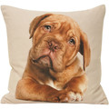 Tyynynpäälliset Riva Home 45x45cm RV134