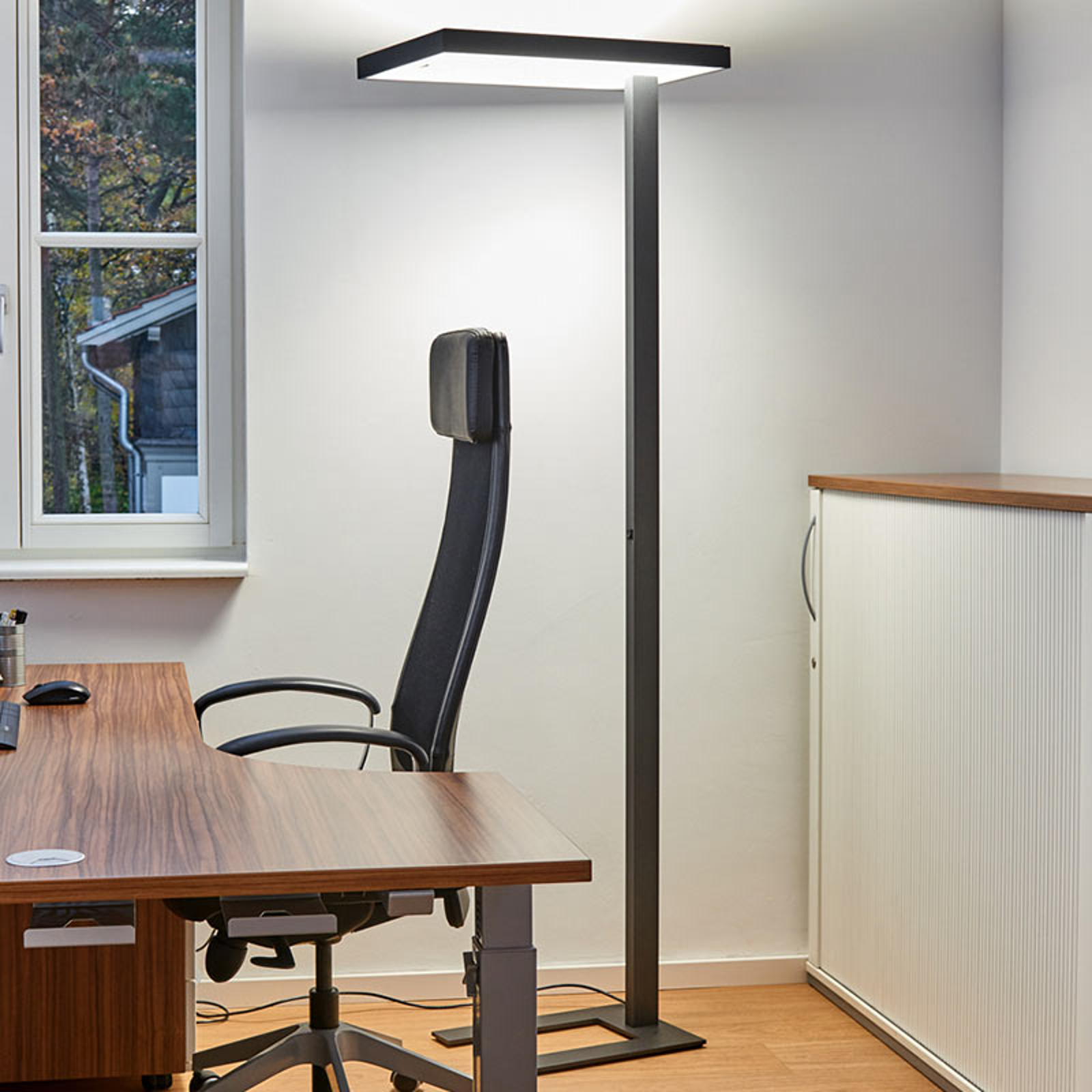 Toimiston LED-lattiavalaisin Lola, 4 000 K, DALI