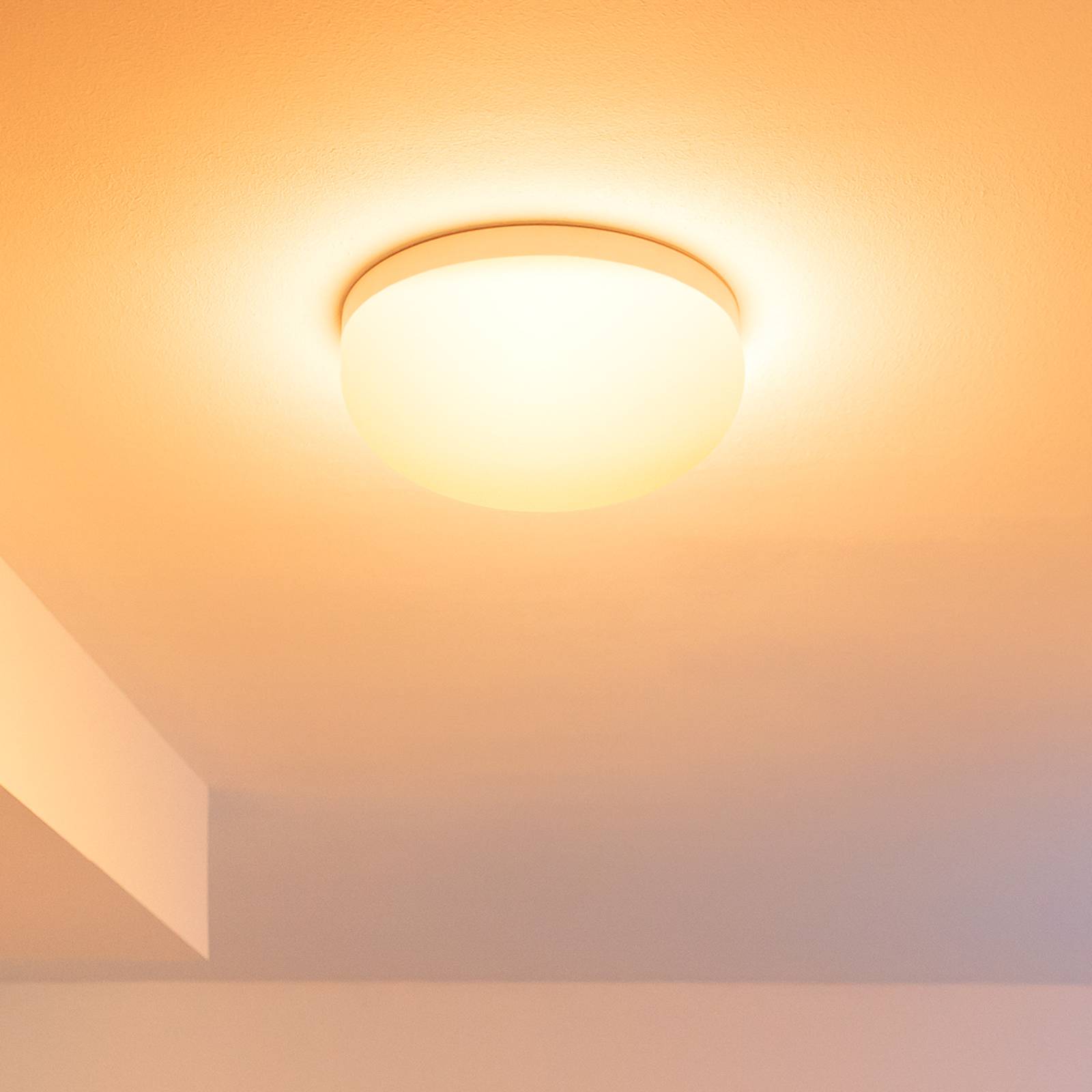 Philips Hue Flourish LED-kattovalaisin, RGBW