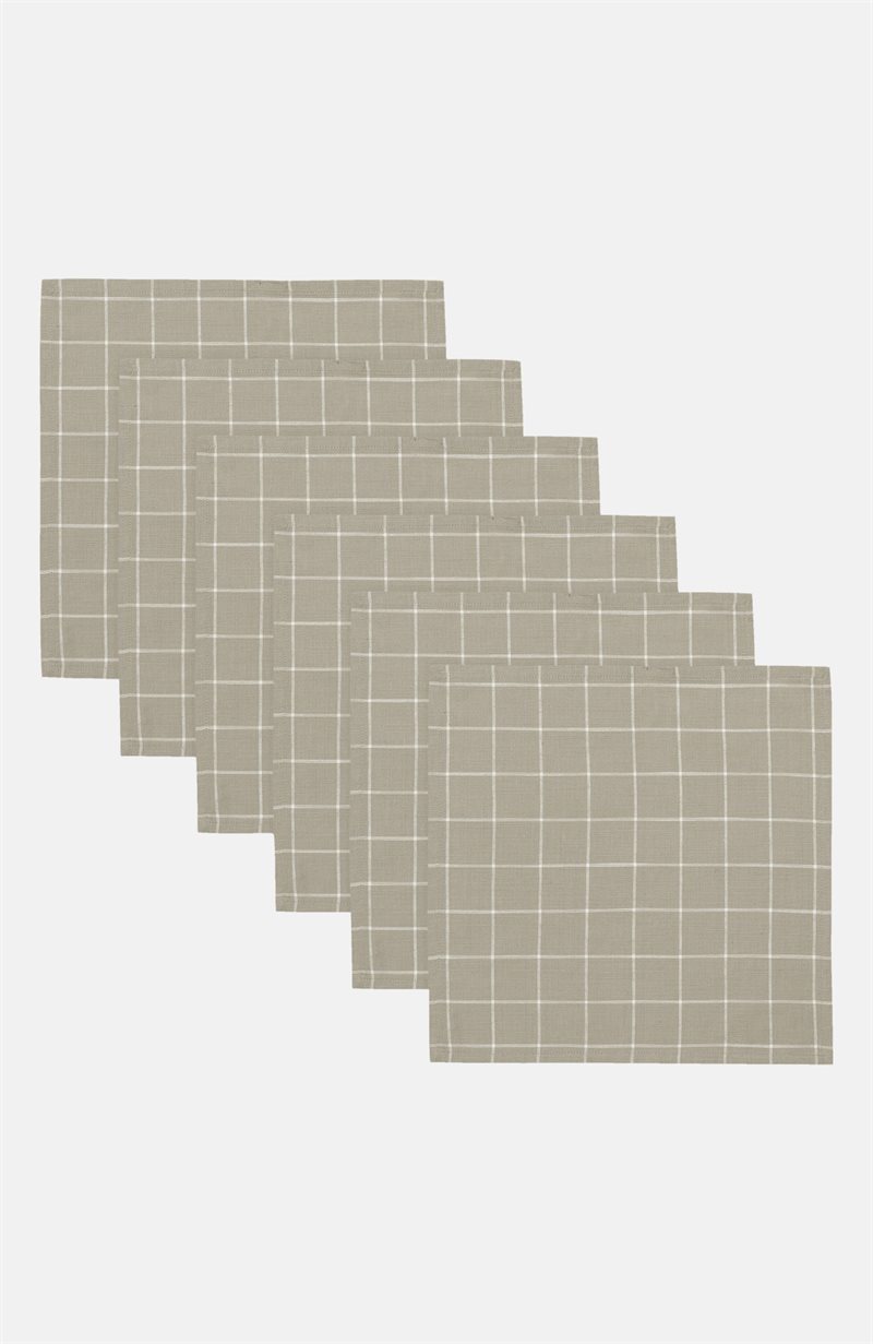 Ruudullinen lautasliina 6 kpl/pakkaus