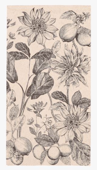 Grow servetit beige