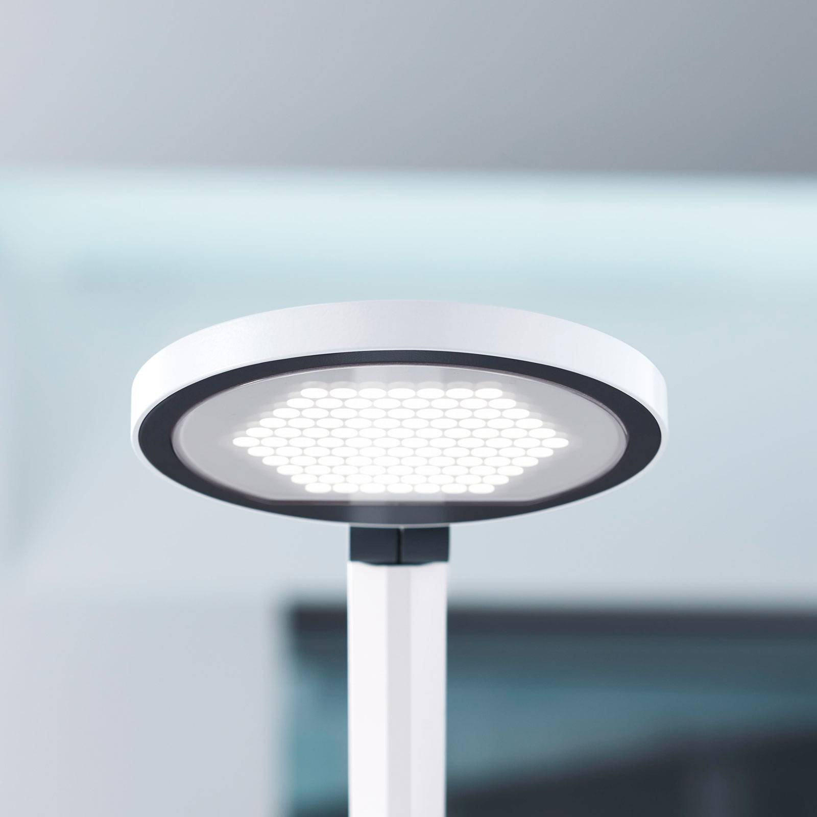 LED-pöytälamppu PARA.MI FTL 102 R valkoinen 940