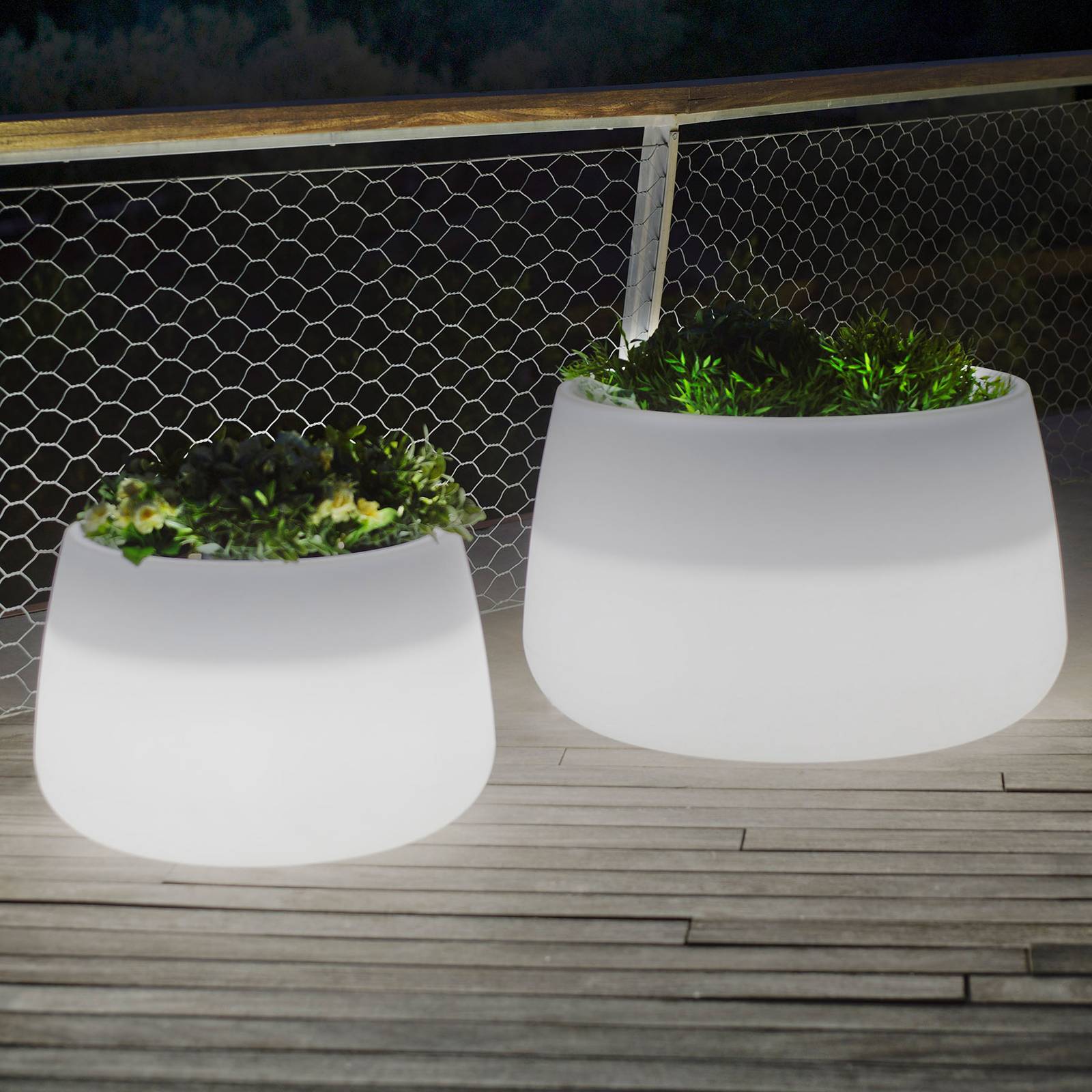 Newgarden Camelia 60 -LED-kukka-astia, akku