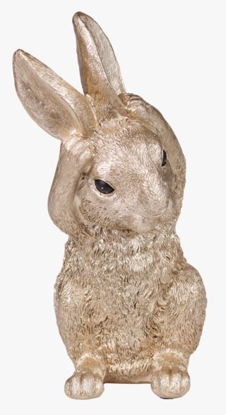 Rabbit no hear koriste kulta