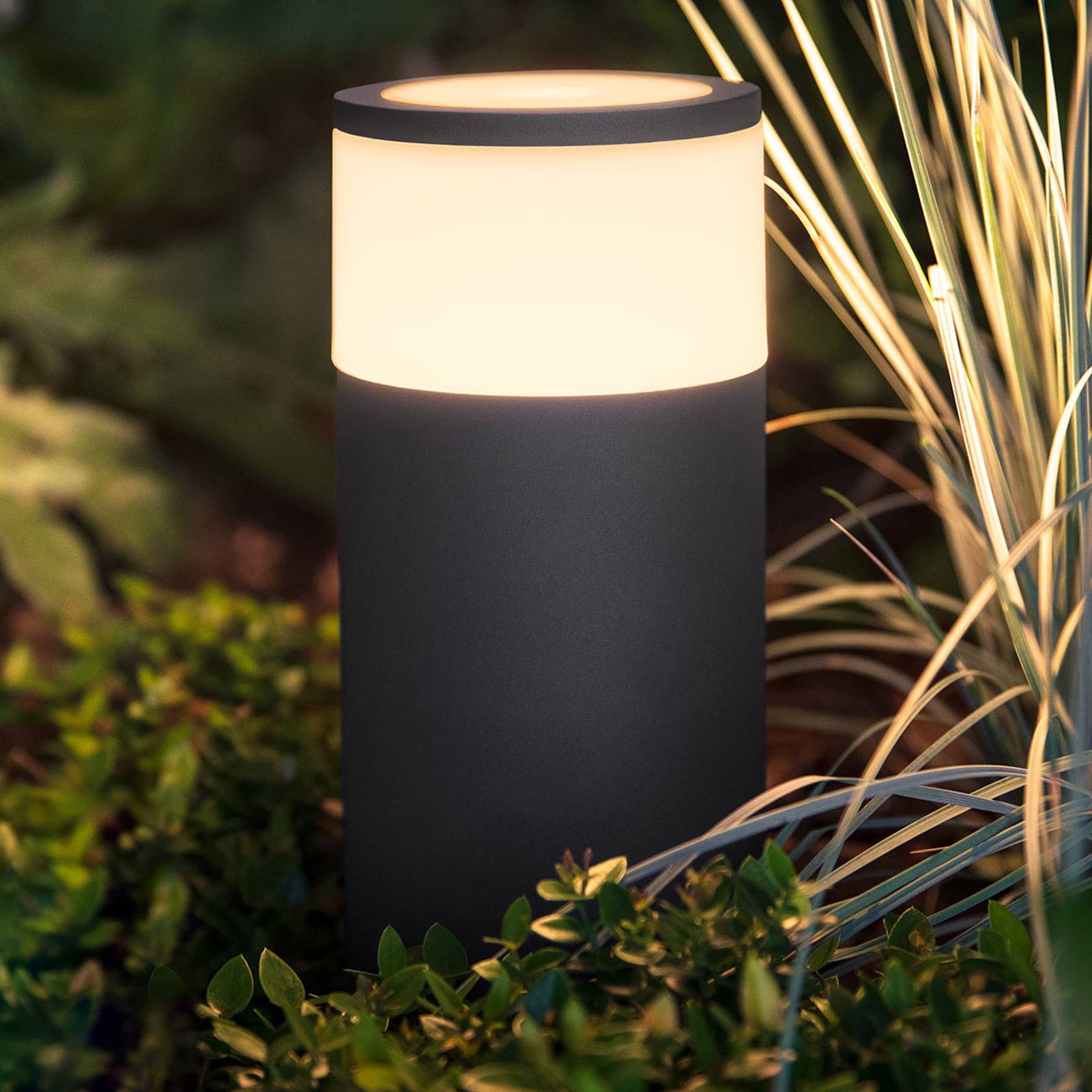 Philips Hue -LED-pollarivalaisin Calla, perussetti