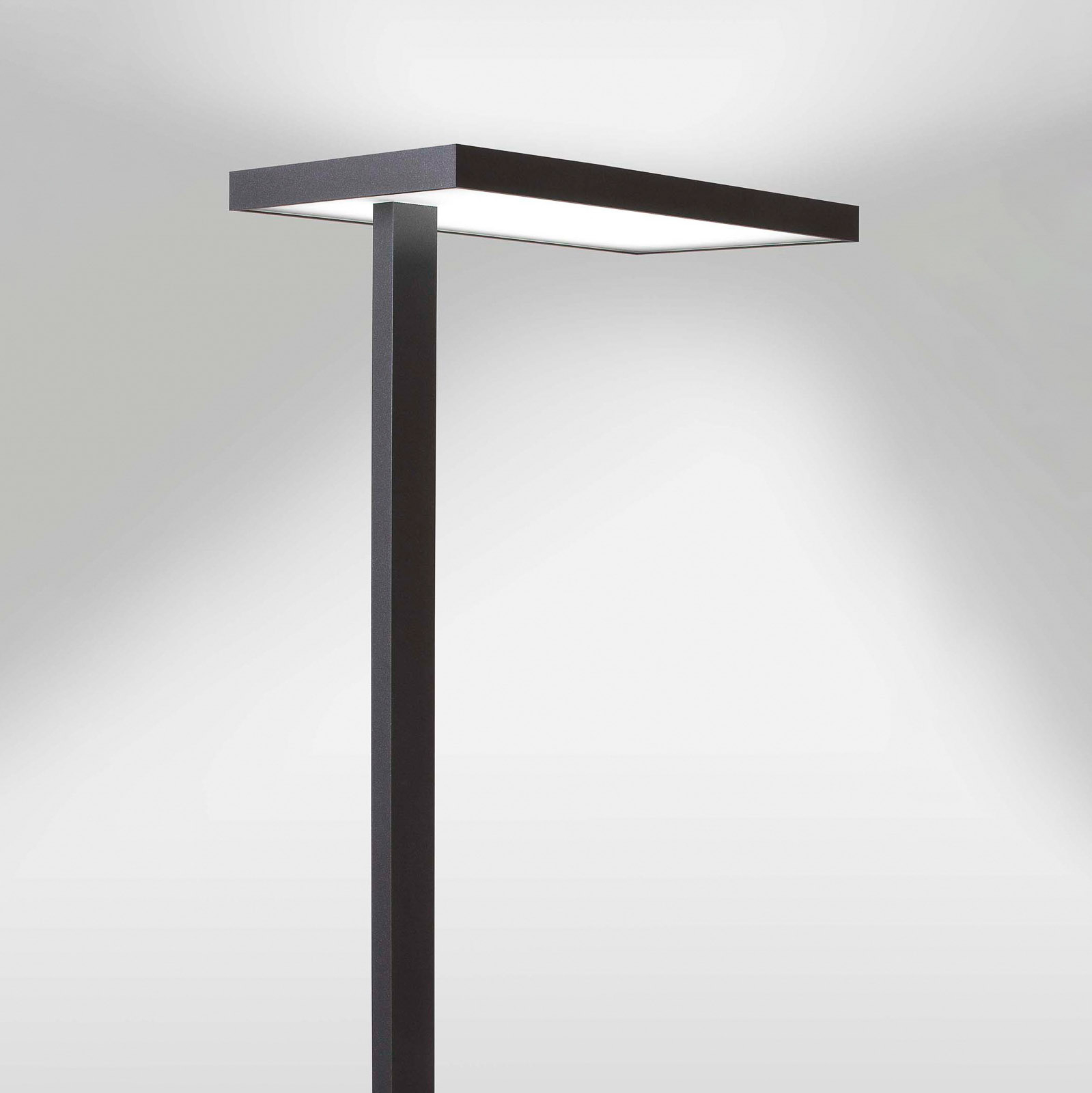 LED-lattiavalaisin Lola, 3 000 K, DALI