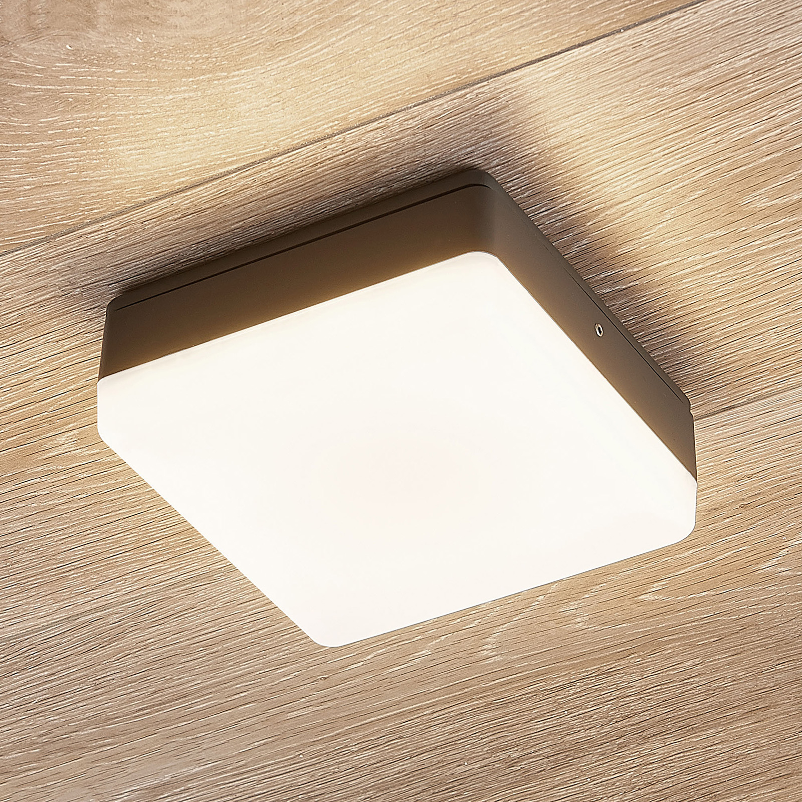 LED-kattovalaisin Thilo, harmaa, 16 cm, sensori HF