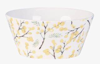 Mimosa allas moniväri