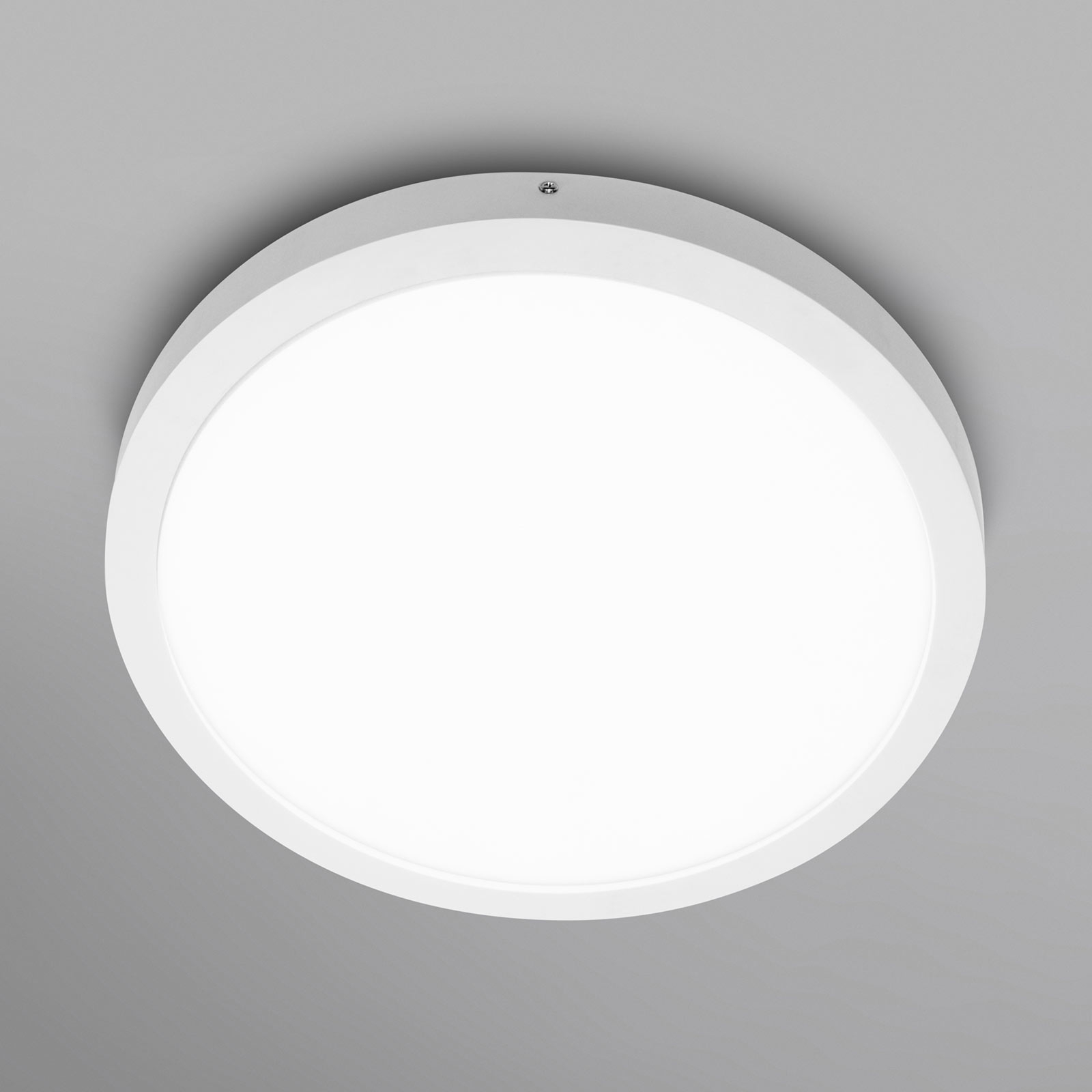 LEDVANCE Planon Round -LED-seinävalo 40cm 840