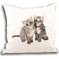 Tyynynpäälliset Riva Home 35x50cm RV535