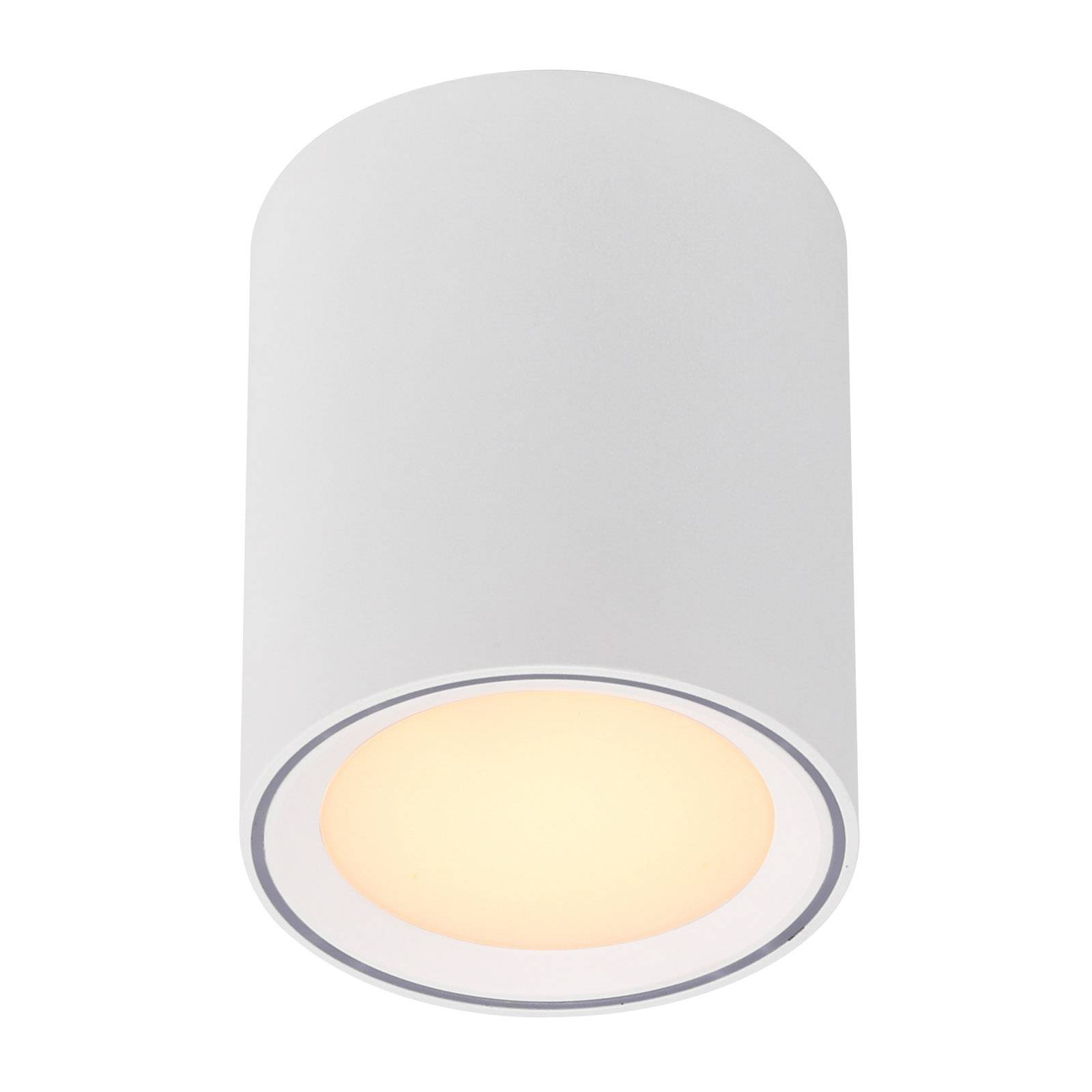 Fallon-LED-kattovalaisin, korkeus 12 cm