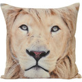 Tyynynpäälliset Riva Home 45x45cm RV135